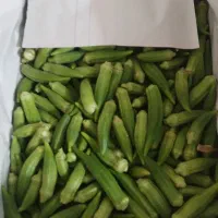 فروش بامیه نوبرانه در بردسیر...