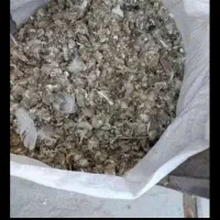 زیل کود کبوتر