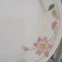 ظروف چینی