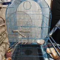 قفس پرنده