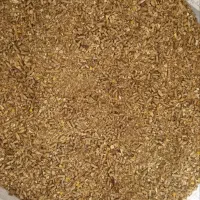 دون مخصوص ماکیانه