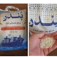 برنج بندر نو ۳۸۶