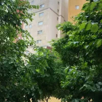 جنت ۲۴، رزاز ۲