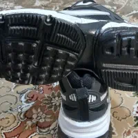 کفش کتونی