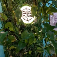 آشپز کمک آشپز و سالندار