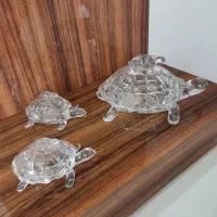 شکلات خوری کریستال لاک پشتی
