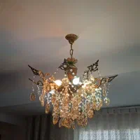 لوستر زیبا و سالم