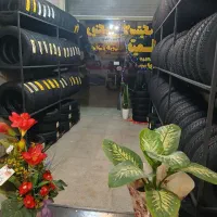 رینگ و لاستیک تیما