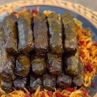 دولمه برگ انگور