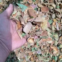 بز نربز گاو میش قوج بره بزغاله پوست بادام
