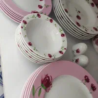 سرویس غذا خوری زرین