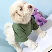 معاوظه شیتزو با مینا سخنگو