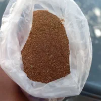 خاکشیر