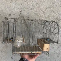 قفس تله سره