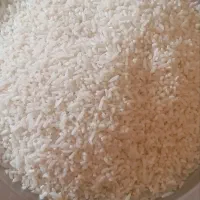 برنج کشت دوم سر لاشه درجه یک شمال