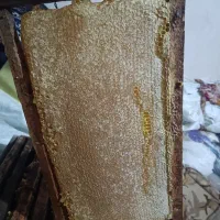فروش عسل طبیعی ونیمه تغذیه