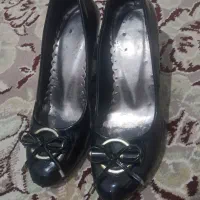 حراج گل . ک ف ش|حراج|کوهدشت, |دیوار