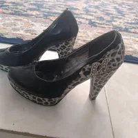 کفش مجلس نو نو