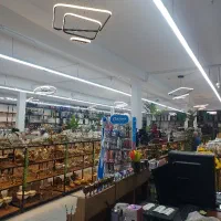 خانم جوان جهت فروشندگی و چیدمان فروشگاه پلاسکو