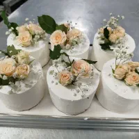 کیک و شیرینی قنادی حمیده