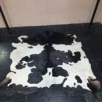 پوست تزیینی گاو چرم گاوی A+++