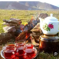 چای لاهیجان