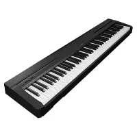 YAMAHA P-45B