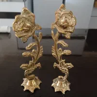 گل و گربه برنج به فروش میرسد