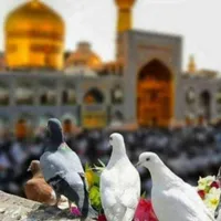 تور سیاحتی مشهد