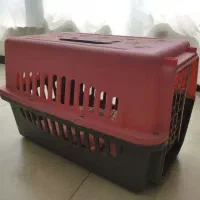 باکس پت خانگی