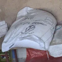 آرد گندم