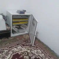 دستگاه جوجه کشی