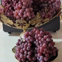 انگور آبی اعلا