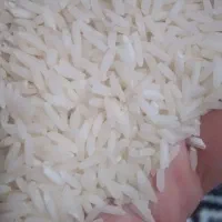 برنج هاشمی سورتیگ شده اعلا