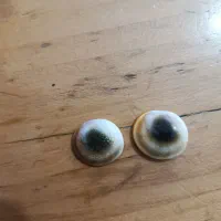 اصل