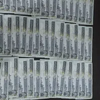 ۵۰۰ریالی|کلکسیون سکه، تمبر، اسکناس|پاوه, |دیوار