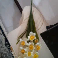 گل نرگس۳شاخه
