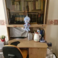 میزتحریروکتابخانه
