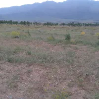 زمین کشاورزی