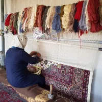 تعدادی بافنده فرش