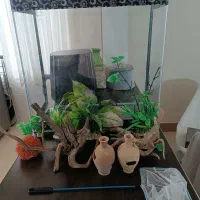آکواریوم شیشه خم