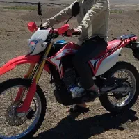 توسن ۲۵۰
