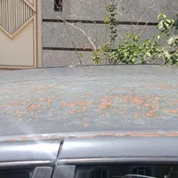 پژوgli405|خودرو سواری و وانت|تهران, استخر|دیوار