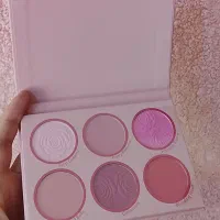 پالت ۶رنگ رژ گونه شیگلم