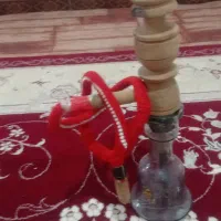 درخت سیب قلیون