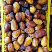 خرما رطب کبکاب   درجه یک نوبرانه برازجان