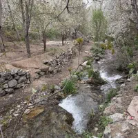 طبیعتگردی
