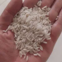 برنج هاشمی ممتاز