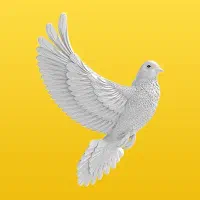 پرنده