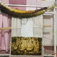 دار قالی